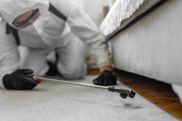 Professional Emergency Pest Control technician working in East Northport, NY