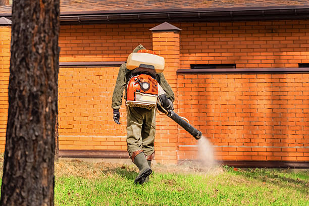Trusted Rodent Control service in East Northport, NY - Nex Pest Control